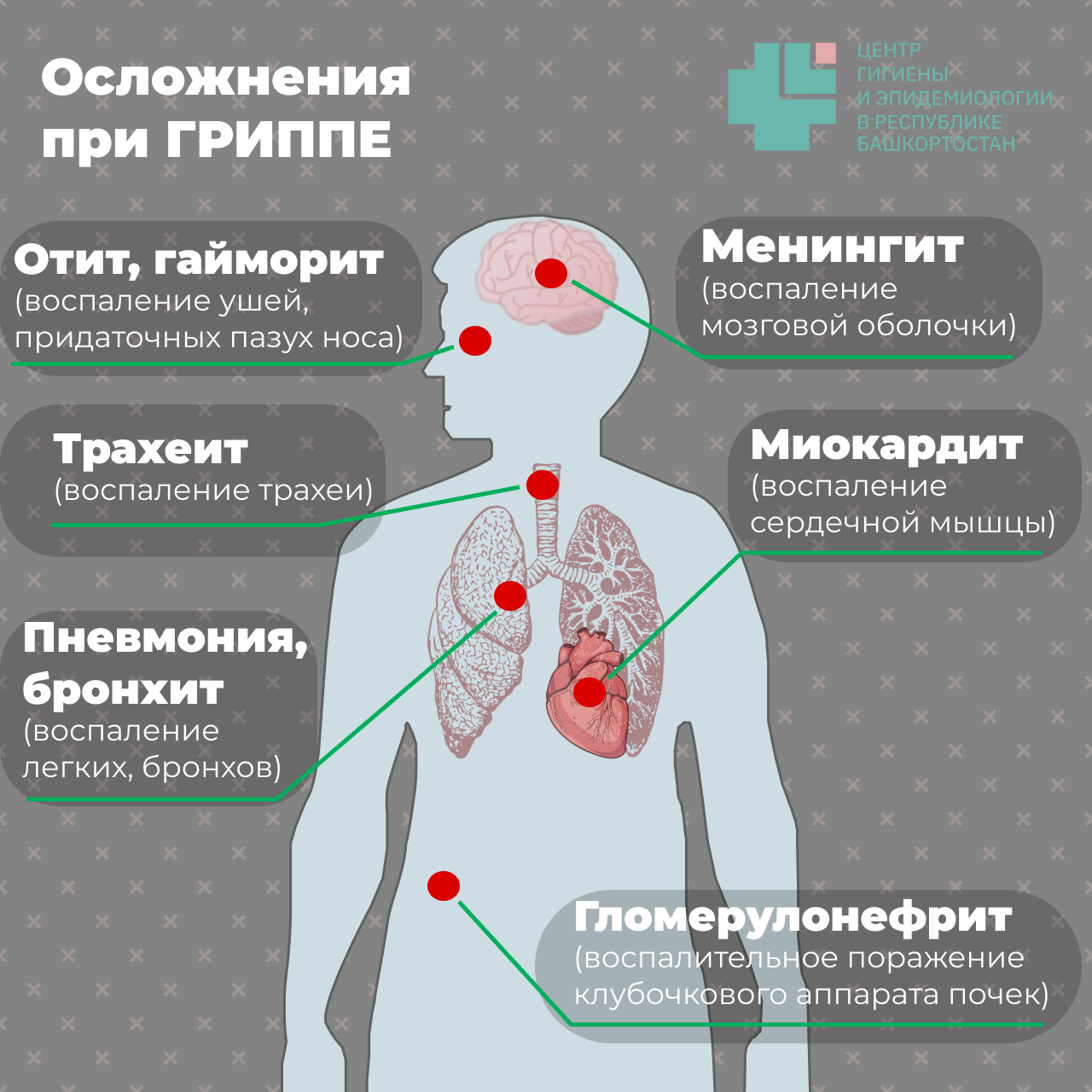 ФИЛИАЛ «Центр гигиены и эпидемиологии в Свердловской области в городе Асбест и Белоярском районе»